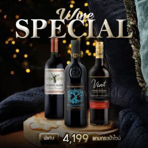 LINE ALBUM set wine jpg