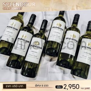 Splendour Chardonnay เซ็ตไวน์ขาวสุดคุ้ม 6 ขวด