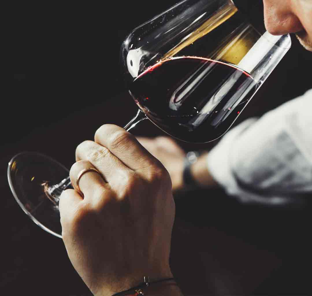 sommelier sniffs red wine glass black background