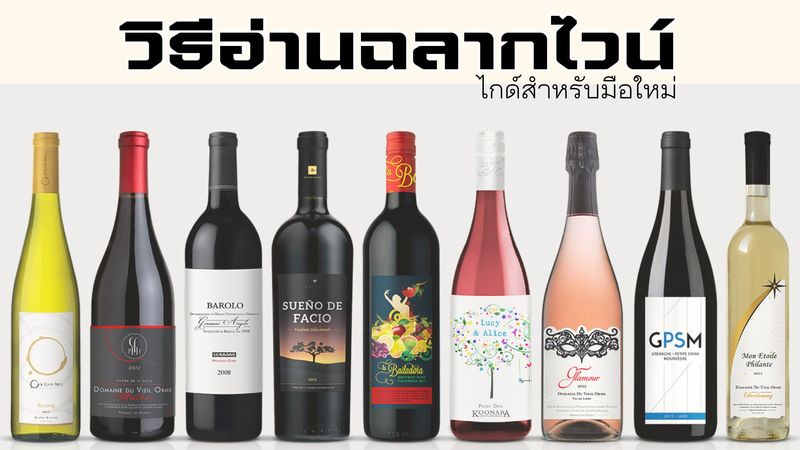 วิธีอ่านฉลากไวน์ ปก