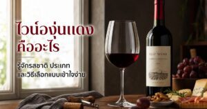 ไวน์องุ่นแดงคืออะไร รู้จักรสชาติ ประเภท และวิธีเลือกแบบเข้าใจง่าย